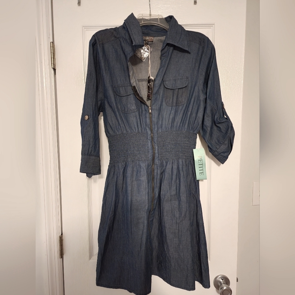 Dark Wash Dress Petite L